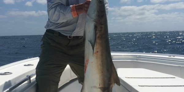 reef wreck fishing trips key west 43