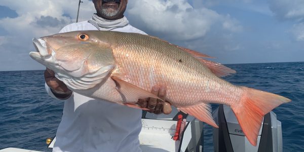 reef wreck fishing trips key west 47