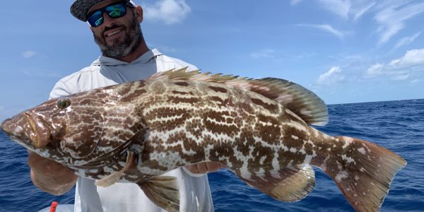 reef wreck fishing trips key west 81